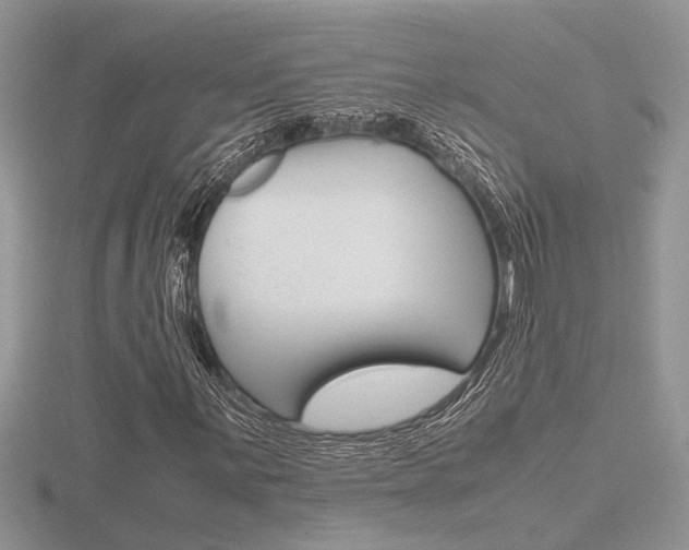 X0000116601059200912110935