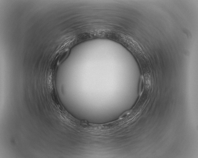 X0000116601060200912110935