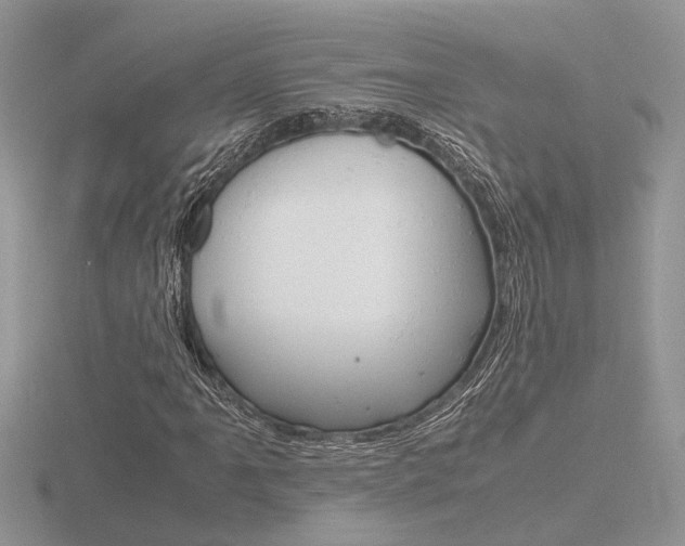 X0000116601061200912110935