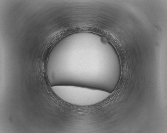 X0000116601062200912110935