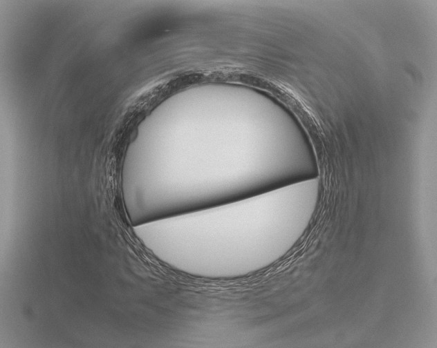 X0000116601063200912110935