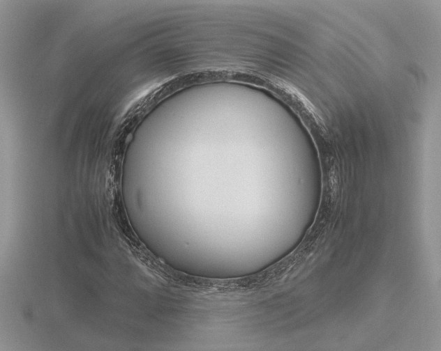 X0000116601064200912110935