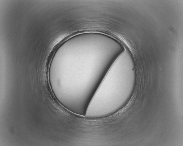 X0000116601071200912110935