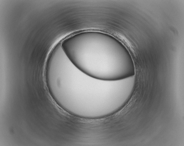 X0000116601072200912110935