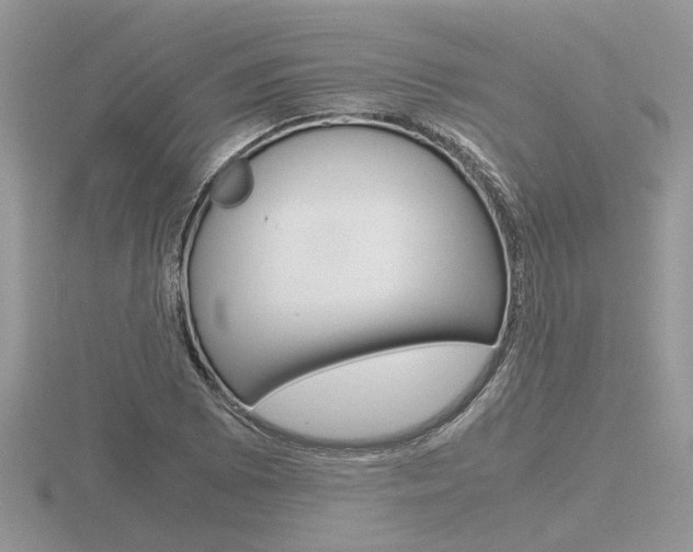 X0000116601073200912110935