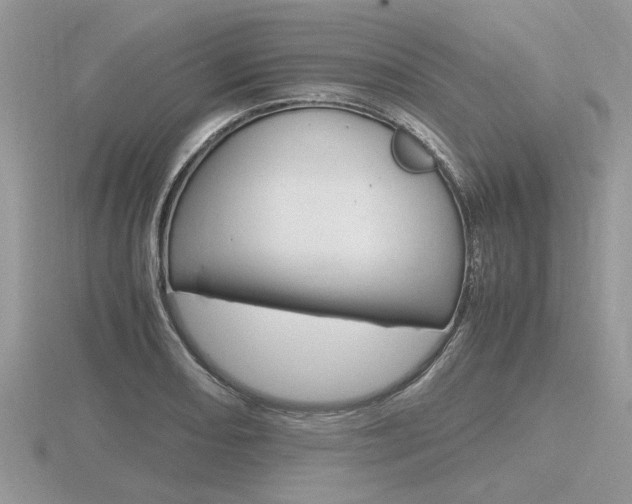 X0000116601082200912110935