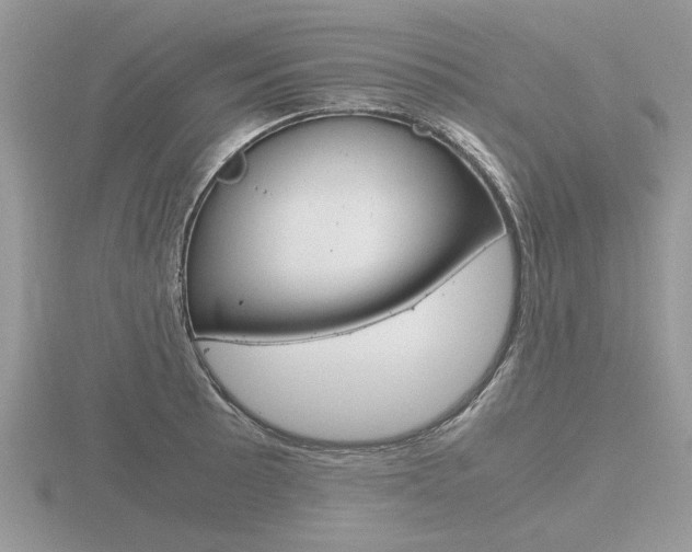 X0000116601089200912110935