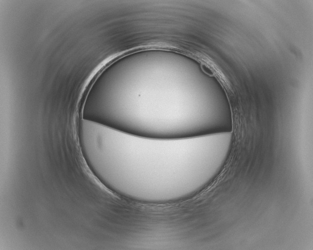 X0000116601092200912110934