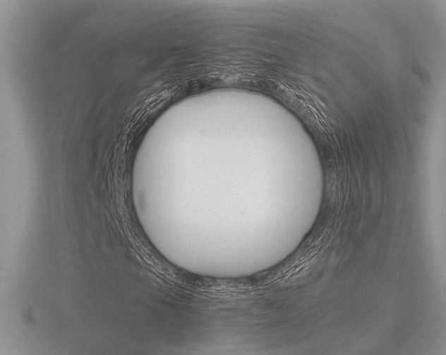X0000116601105200912110934