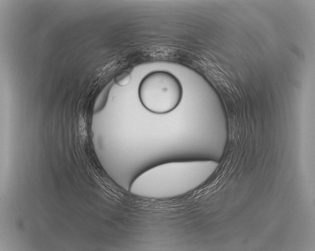 X0000116601106200912110934