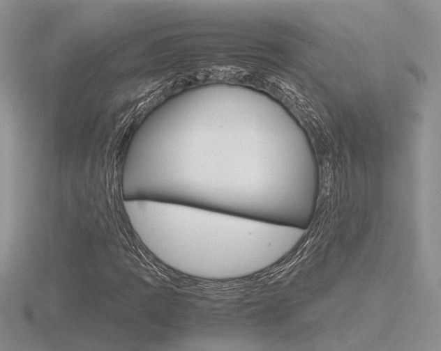 X0000116601109200912110934
