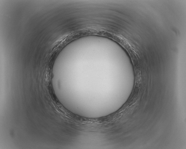 X0000116601110200912110934
