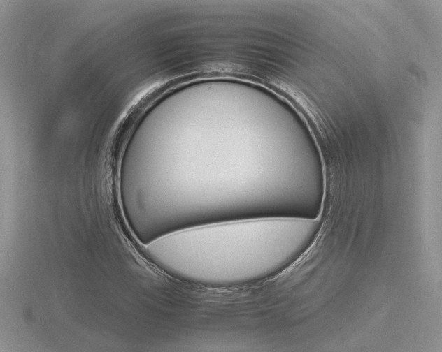 X0000116601115200912110934