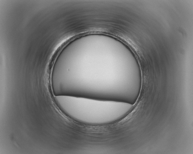 X0000116601119200912110934