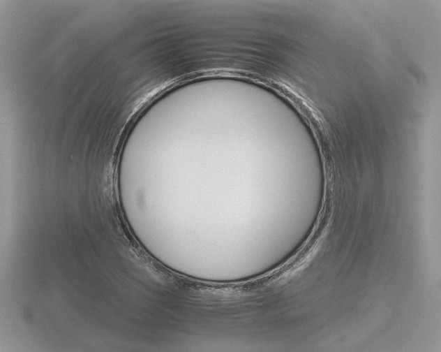 X0000116601121200912110934