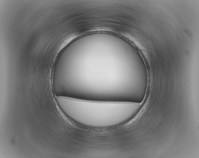 X0000116601137200912110934