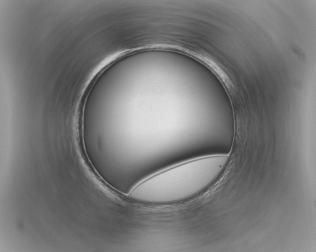 X0000116601142200912110934