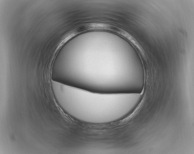 X0000116601145200912110934