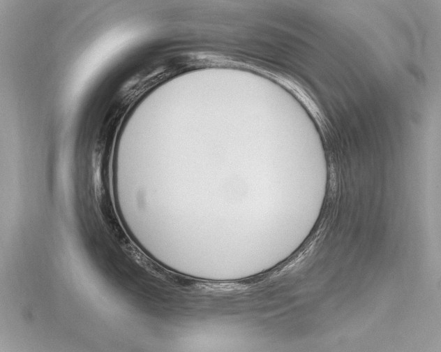 X0000116601150200912110934