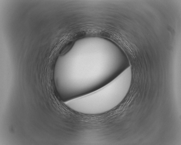 X0000116601153200912110934