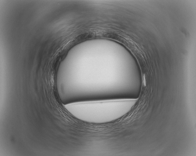 X0000116601155200912110933