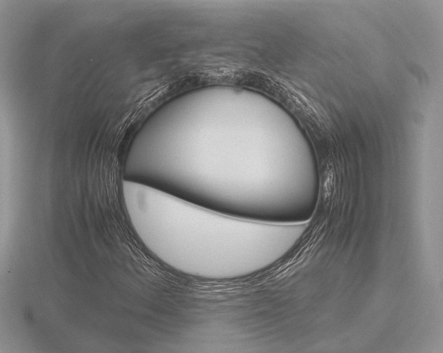 X0000116601156200912110933