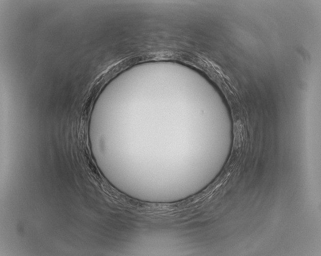 X0000116601158200912110933