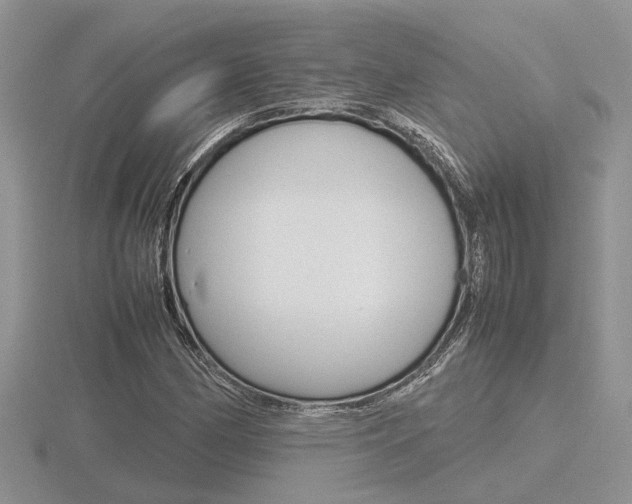 X0000116601162200912110933