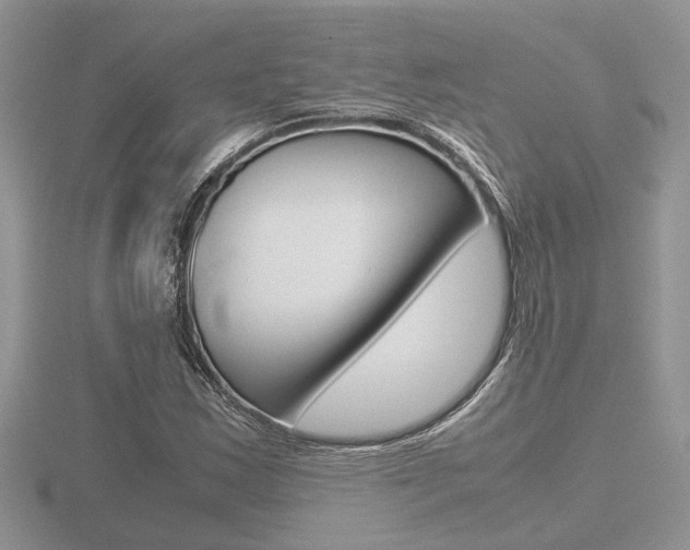 X0000116601163200912110933