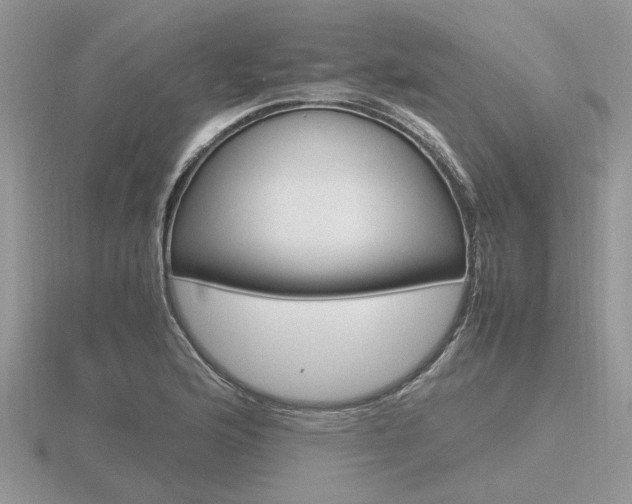 X0000116601176200912110933