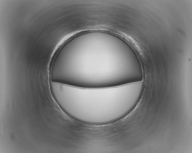 X0000116601184200912110933