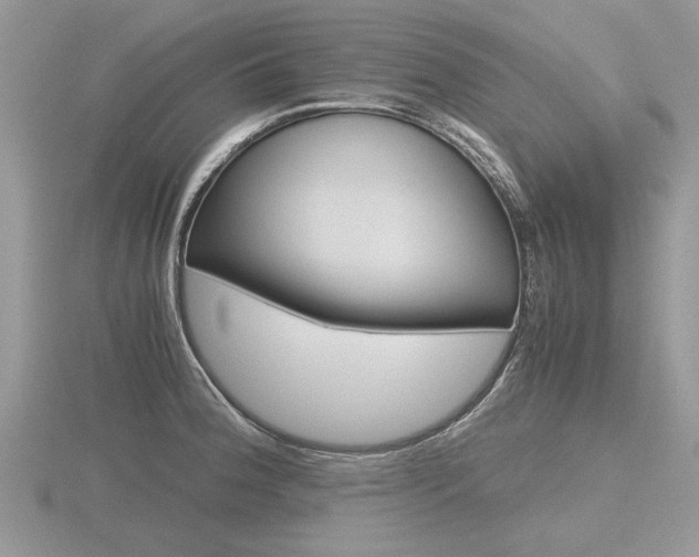 X0000116601188200912110933