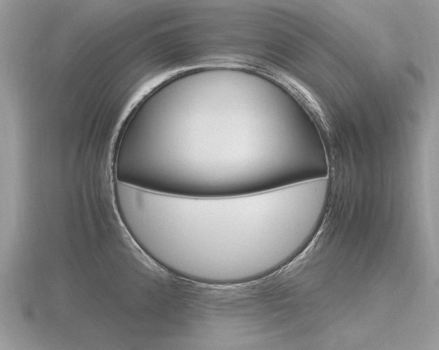 X0000116601192200912110933