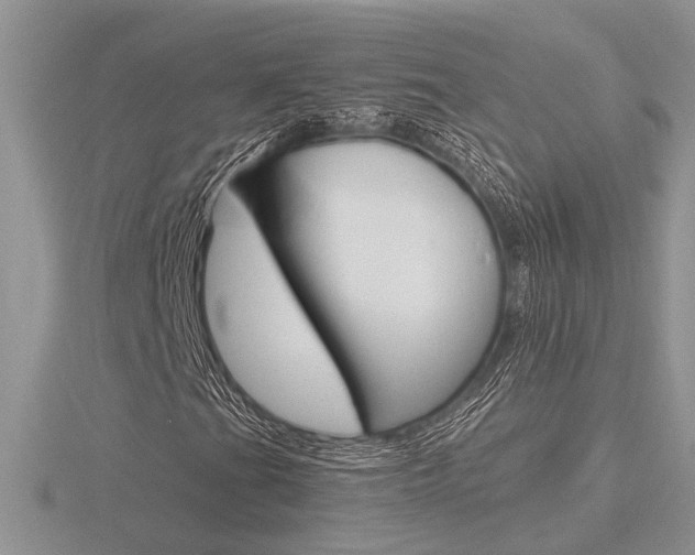 X0000116601201200912110932