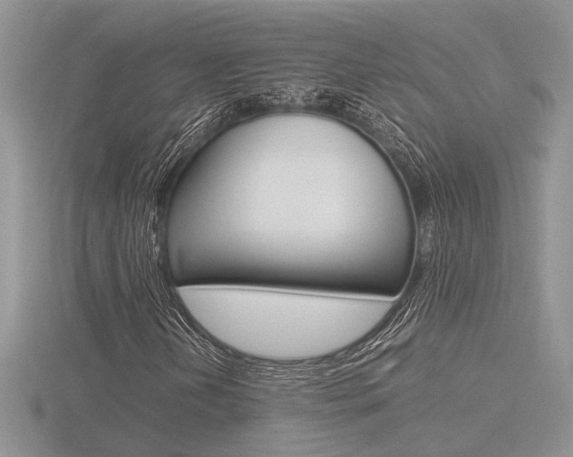 X0000116601202200912110932