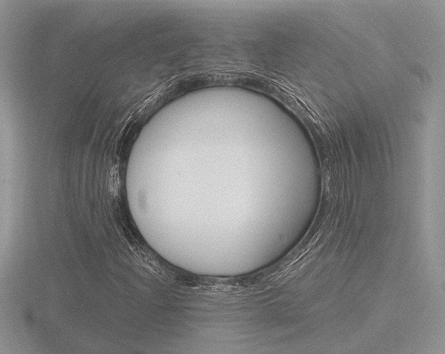 X0000116601204200912110932