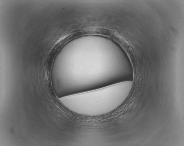 X0000116601206200912110932