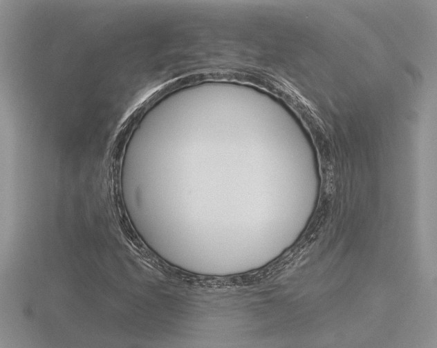 X0000116601208200912110932