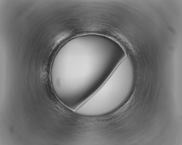 X0000116601210200912110932