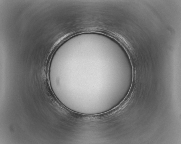 X0000116601212200912110932