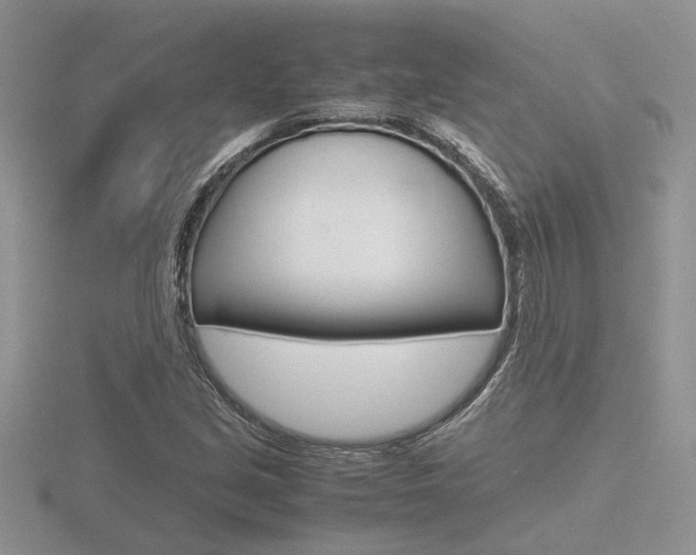 X0000116601213200912110932