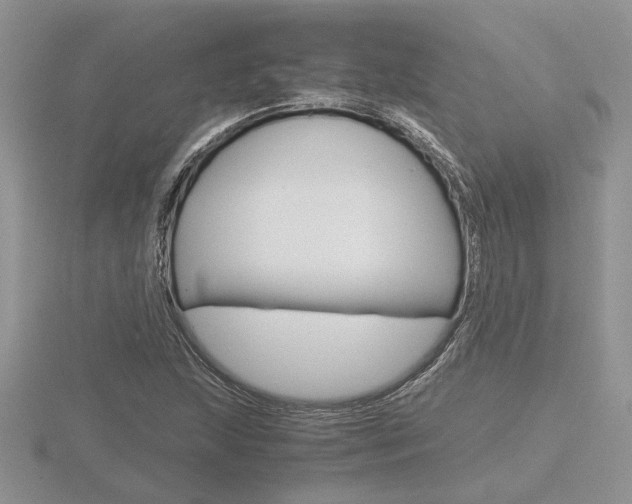 X0000116601215200912110932