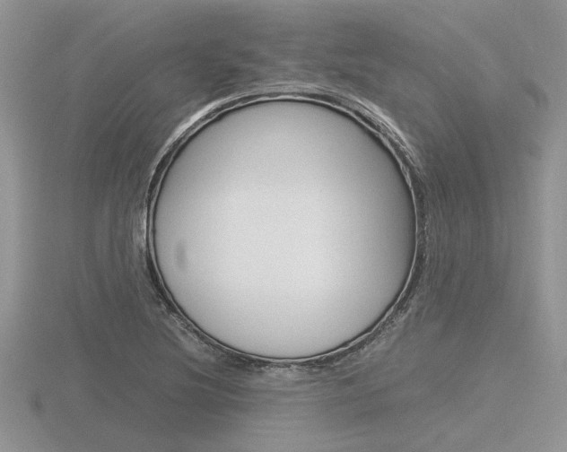 X0000116601220200912110933