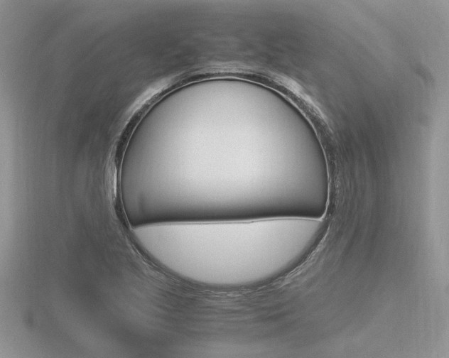 X0000116601221200912110933