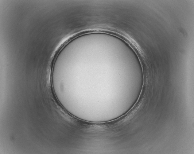 X0000116601224200912110933
