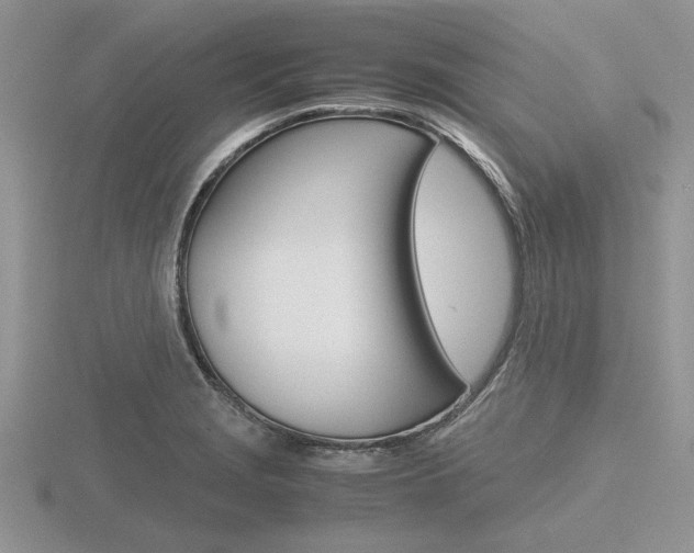 X0000116601229200912110933
