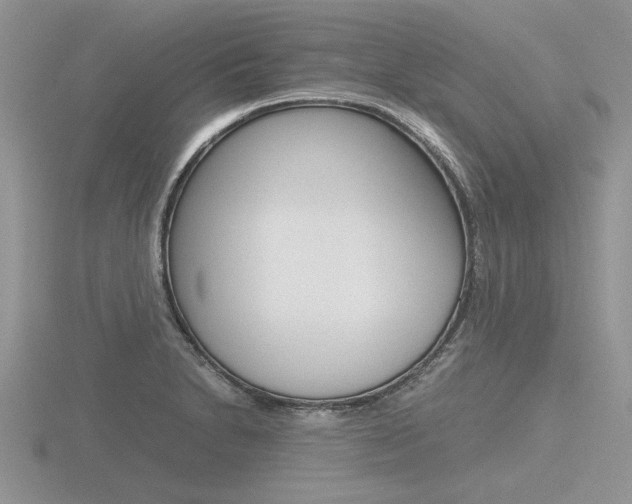 X0000116601230200912110933