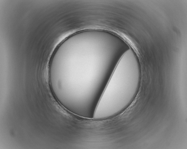 X0000116601238200912110933