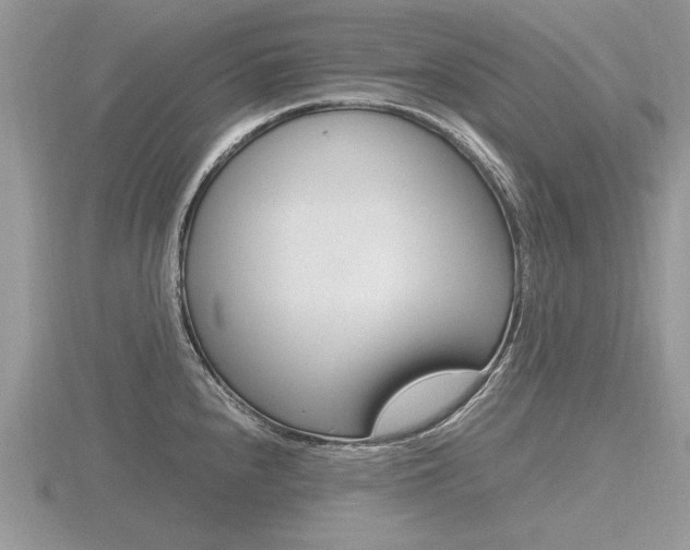 X0000116601240200912110933