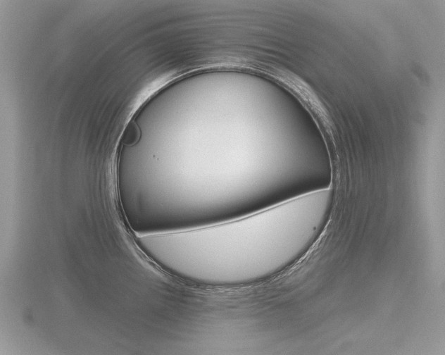 X0000116601242200912110933